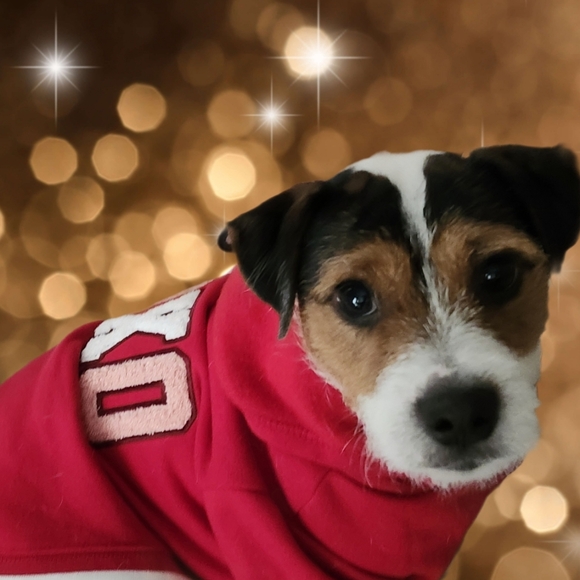 @bethybd LIVE "LIKE" for Notices Of My Shows - Picture 5 of 16